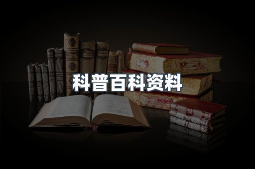 外文电子书系列